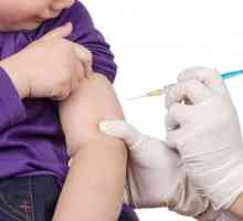 Vaccinarea împotriva pneumoniei: recenzii. Vaccinarea împotriva pneumoniei pentru copii: feedback