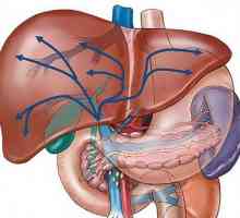 Simptomele modificărilor pancreatice difuze: ceea ce este, simptomele și tratamentul