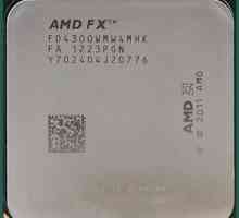 Procesor AMD FX-4300: descriere și recenzii