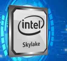Procesor dispozitiv Intel Core i3 - 6006U. Caracteristici, specificații și recenzii de proprietar