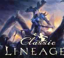 Proiect 4game lineage 2 clasic. Sau la originea Lineage