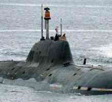 Proiectul 971 - o serie de submarine nucleare multifuncționale: caracteristici