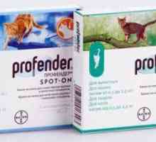 `Profender` pentru pisici: instrucțiuni de utilizare, compoziție și eficiență