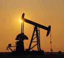 Profesia `Forajele pentru puțurile de petrol și gaze `: salariu. Cât de mult poate ajunge…