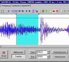 Program pentru prelucrarea sunetului și pentru înregistrarea sunetului
