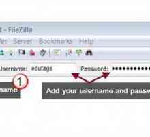 Programul FileZilla: cum se utilizează? Instrucțiuni pentru începători