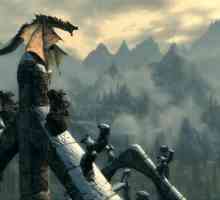 Trecerea questurilor "Skyrim". Căutări "Gardienii zorilor" - pasajul
