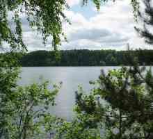Originea numelui lacului Valdai. Lacul Valday: descriere și fotografie