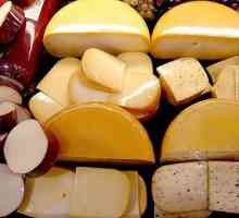 Producerea brânzeturilor ca o afacere. Mini-magazin: tehnologie și echipament