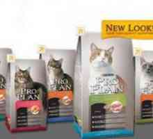 `ProPlan` (hrana pentru pisici): recenzii ale medicilor veterinari. Feedback asupra…