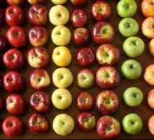 O rețetă simplă și delicioasă: merele prajite într-un aluat