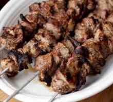 Reteta simpla pentru kebab shish cu otet, ierburi si ceapa