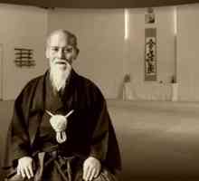 Metode simple și eficiente de aikido - descrierea tehnicii și recomandări
