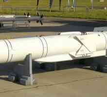 X-35 rachetă anti-navă: specificații și aplicații