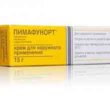 Anti-inflamator și antifungic unguent `Pimafukort`: instrucțiuni de utilizare