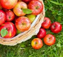Transparent gem de mere întregi: rețetă, secrete de gătit