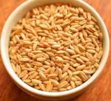 Tărâțe de grâu în multivarkul `Redmond`: secretele gătitului