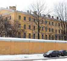 Spitalele de psihiatrie din Sankt Petersburg: specificul lucrării