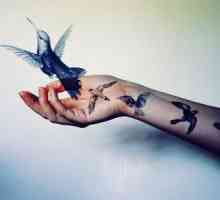 Păsări pe mâini (tatuaje) și semnificația lor