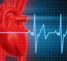 Impuls: caracteristic puls, tabelul ritmului cardiac după vârstă