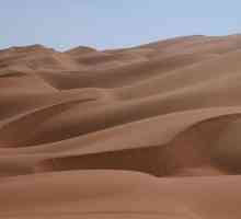 Пустыни и полупустыни: почва, климат, животный мир