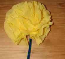 Garnizoana luxurianta dintr-un servetel: o floare care nu se usuca