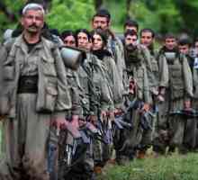 Рабочая партия Курдистана: история и цели