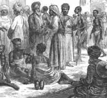 Starea de sclav: educație, forme, sistem