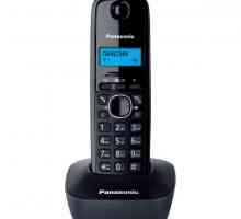Radiotelephone Panasonic KX TG1611RUH: manual de utilizare, recenziile proprietarului