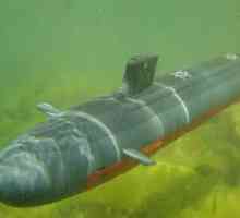 Radio-submarine controlate pentru copii și adulți