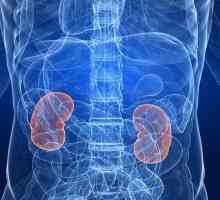 Cancerul de rinichi: predicții după eliminare. Dieta dupa operatie