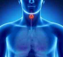 Cancerul tiroidian: câți trăiesc? Consultarea unui oncolog