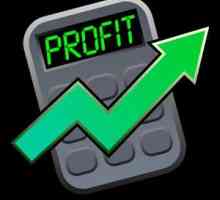 Calculul profitului: profitul contabil și economic