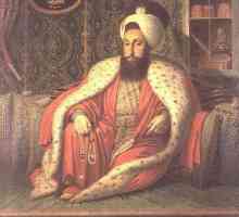 Dezintegrarea Imperiului Otoman: istorie, cauze, consecințe și fapte interesante