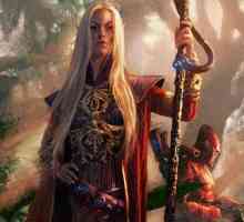 Curse de fantezie: elfi, zane, gnomi, troli, orci. Cărți de un gen de fantezie