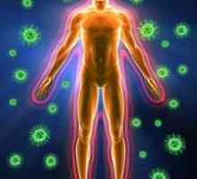 Înțelegeți ce este imunitatea și sistemul imunitar