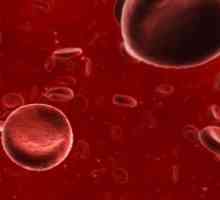 Înțelegem ce produse cresc hemoglobina