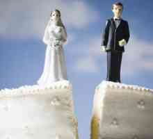 Secțiunea de proprietate dobândită în comun de soți: eșantion de declarație de creanță. Cererea de…