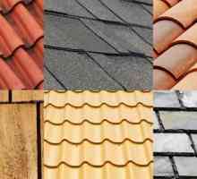O varietate de acoperișuri - tipuri de acoperiri