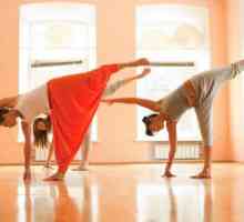 Soiuri de yoga - o descriere și diferențe. Kriya Yoga. Bhakti Yoga