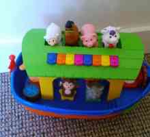 Dezvoltarea jucăriei `Arca lui Noe` Kiddieland cu sunet: fotografie, recenzii