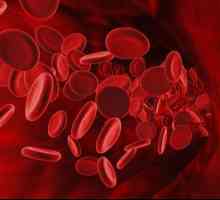 RBC: test de sânge, transcriere, normă și valoare. Numărul normal de celule roșii din sânge (RBC)