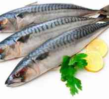 Rețetă pentru macrou în toarnă de muștar: instrucțiuni pentru alegerea peștelui și sărare