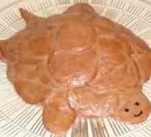 Reteta pentru tortul "Turtle" cu smantana este magia gustului in simplitate