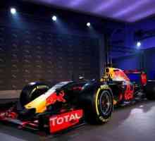 `Red Bull`. `Formula 1`. Informații interesante despre echipă