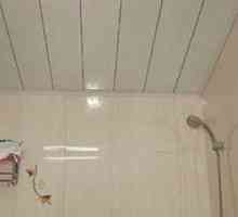 Rack tavan în baie - cum să facă alegerea potrivită?