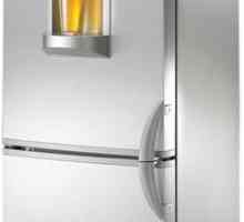 Evaluarea frigiderelor pentru calitate și fiabilitate: recenzii și consultanță de specialitate