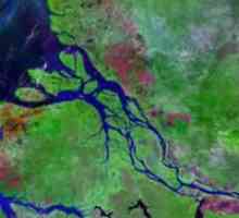 Râul Amazon este cel mai plin râu din lume