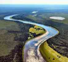 Râul Dema: caracteristici geografice
