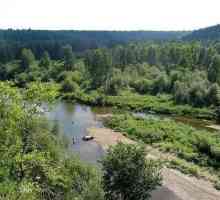 Râul Iset - un râu de pește cu miros de câine
